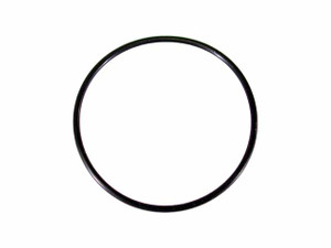 Throttle Housing O-Ring
