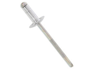 Window Regulator Rivet
