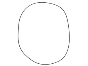 O-Ring