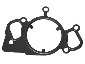 Water Pump Gasket