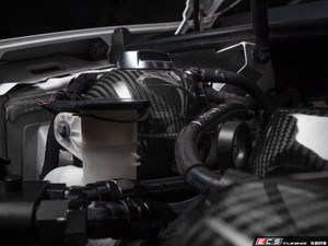 Carbon Fiber Expansion Tank Cover Kit