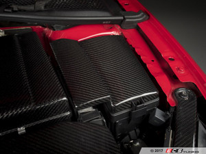 Carbon Fiber Fuse Box / ECU Cover | ES3698252