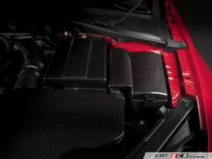 Carbon Fiber Fuse Box / ECU Cover | ES3698252