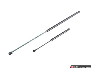 Hood & Trunk Strut Kit