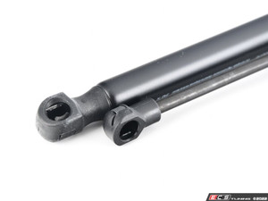 Hood & Trunk Strut Kit