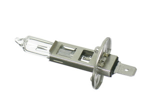 Bulb