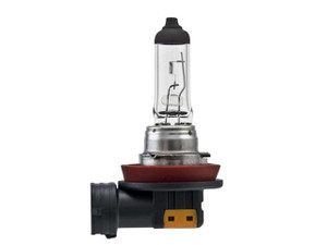 Bulb