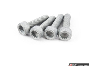 Accessory Belt Kit | ES3691276