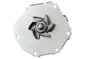 LR006861_1.jpg