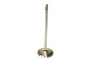 Intake Valve