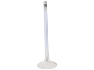 Exhaust Valve