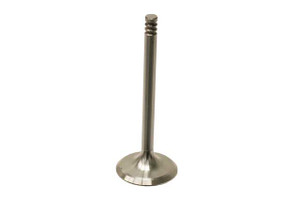 Intake Valve