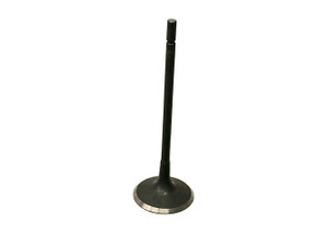 Intake Valve