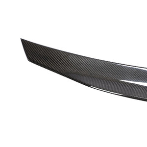 EST Carbon Fiber Rear Spoiler - Mercedes S Class - S280 S300 S350 S400 S450 S500 S550 / S63 AMG - W221