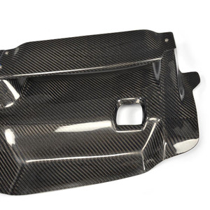 EST Dry Carbon Fiber Air Intake Filter Cover - Mercedes C63 AMG - W204