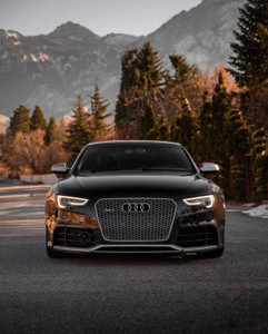 Audi RS5 Honeycomb Front Grille - Chrome | (2013-2016) B8.5 A5/S5 - EST-14-144
