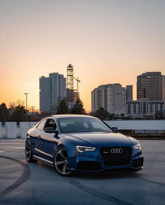Audi RS5 Honeycomb Front Grille - Black | (2013-2016) B8.5 A5/S5 - EST-14-151