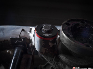 Complete Performance Polyurethane Differential Bushing Set | ES4030646
