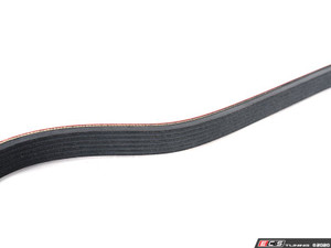 Performance Kevlar Reinforced Accessory Belt | ES3677912