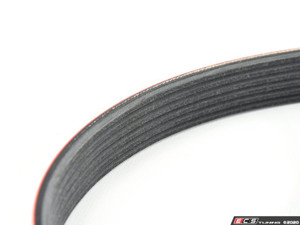 Performance Kevlar Reinforced Accessory Belt | ES3677913
