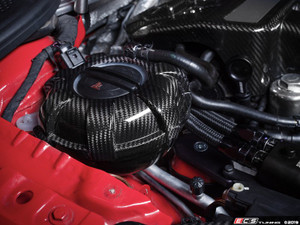 Black Carbon Fiber Expansion Tank Cover Kit
