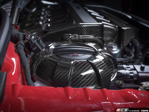 Black Carbon Fiber Expansion Tank Cover Kit