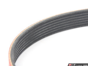 Performance Kevlar Reinforced Belt | ES4335559
