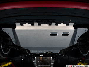 Neuspeed Sport Springs WITH ECS Street Shield