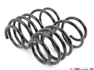 Neuspeed Sport Springs WITH ECS Street Shield