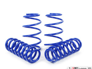 ECS StanceEnhance Kit With VWR Race Springs WITH ECS Street Shield