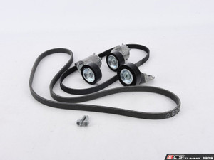 Accessory Belt Kit | ES3046226