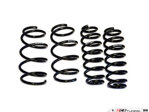 Emmanuele Design Lowering Springs - With ECS Heavy Duty Strut Mounts & Install Kit
