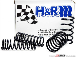 H&R Sport Spring & Bilstein Sport Shocks Combo | ES687