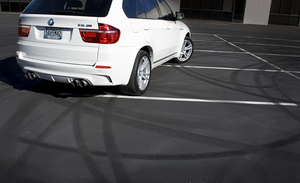 Dinan Free Flow Stainless Exhaust ? Black Tips