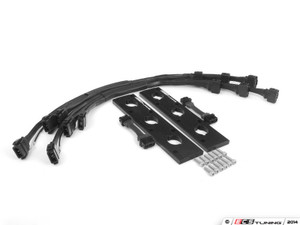 2.0T Coil Pack Conversion Kit - Anodized Black Plates with No coil packs