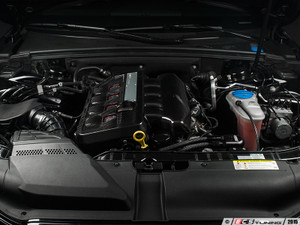 Performance Baffled Oil Catch Can System