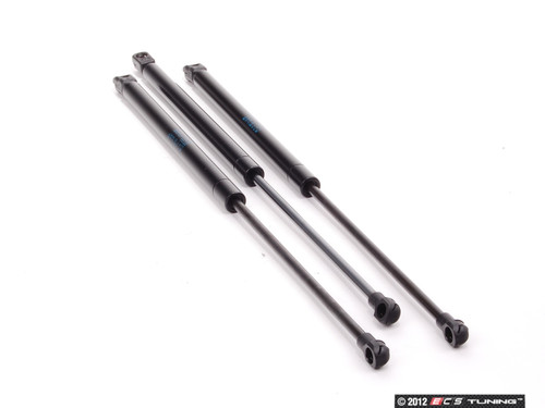 Hood And Hatch Strut Kit | ES2586449