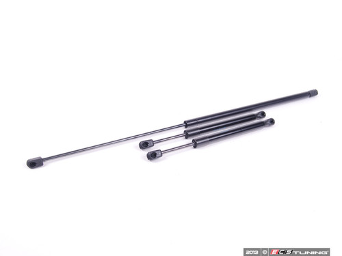 Hood And Trunk Strut Kit | ES2587229