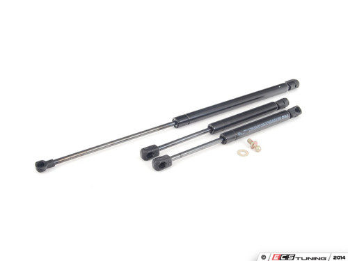 Hood And Trunk Strut Kit | ES2593478