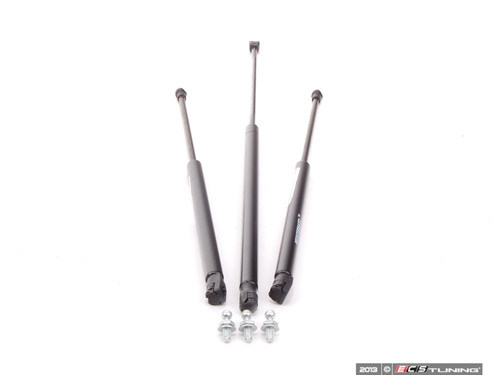 B5 Hood And Hatch Strut Kit