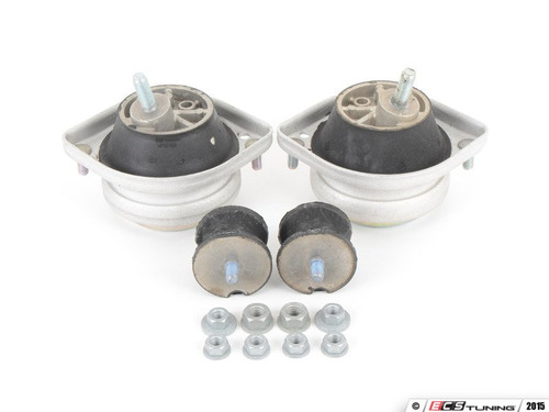 Motor And Transmission Mount Kit | ES2695670