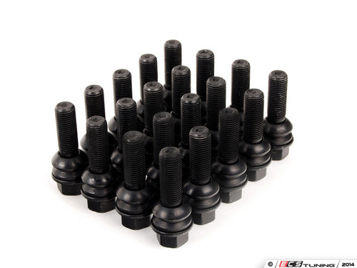 Black Stock-Length Lug Bolts - Set Of 20 | ES2724956