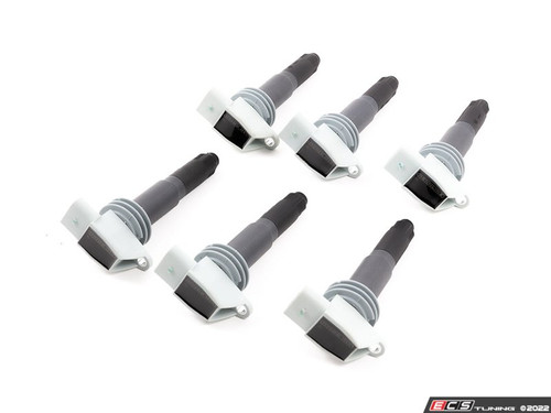 Rennline Performance Ignition Coils- Set Of 6