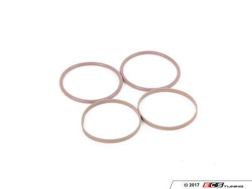 ECS M62TU Vanos Seal Rebuild Kit