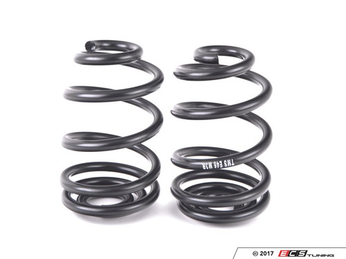 Stock Replacement E46 M3 Rear Spring - Coupe - Priced Each