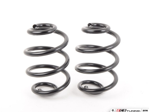 Turner Motorsport E46 AWD Replacement Rear Springs - Pair