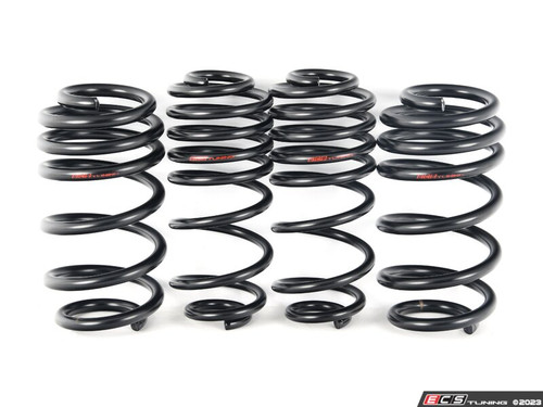 B8/B8.5 A4/S4 Lowering Springs & Installation Kit