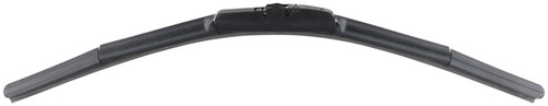 BS_4924_Ang.jpg