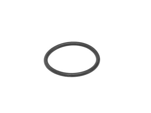 Oil Cap Seal