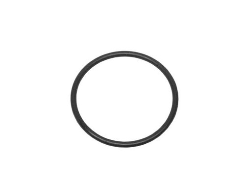 Fuel Pump O-Ring